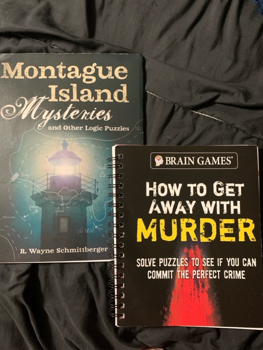 Puzzle Book Bundle Logic Brain Games Murder Mystery Activity Set